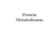 Protein Metabolismus - VoWiMach)_-… · EF-Tu ist das am häufigst vorkommende Protein in E. coli (5%) entspricht ca Zahl der tRNAs. Essentielle Komponenten: Elongation der Translation