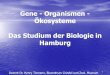 Gene - Organismen - Ökosysteme Das Studium der Biologie in ... … · Technische Universität Hamburg-Harburg TUHH Studiengang: Biotechnologie-Verfahrenstechnik Abschluß: Diplom