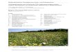 Niedersächsische Strategie zum Arten- und Biotopschutz ...€¦ · Hahnenfuß (Ranunculus polyanthemos agg.), Goldhafer (Trisetum flavescens) u.a. 1.4.2 Tierarten Vögel: Wiesenpieper