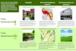 DTK 100 (2012) Entwurf Vorranggebiet GeoSN Topografie · Thema 1 Topografie: Hochwasservorsorge Thema 2 Wassererosionsschutz Zunehmende Schäden durch Hochwasser Zunehmende Schäden