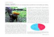 Illegale Vogeljagd Diskrepanz zwischen Bemühung von ...€¦ · schritte berichtet werden kann. Dies erinnert an die für 2020 festgelegten Biodiversitätsziele. Es ist schon jetzt