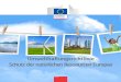 Umwelthaftungsrichtlinie Schutz der natürlichen Ressourcen ...ec.europa.eu/environment/legal/liability/pdf/eld_brochure/DE.pdf · Schutz der natürlichen Ressourcen Europas 5 Übersicht