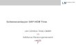 Schemenanlayzer SAP HCM Time - LM Consulting Schemenanlayzer SAP HCM Time LM CONSULTING GMBH im AdManus