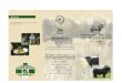 HONIG Aus eigener Imkerei bieten wir Ihnen echten ...naturade.de/index_htm_files/Cattle.pdf · Highland-Cattle durch die gesunde Bewegung an der frischen Luft außergewöhnlich schmackhaftes