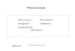 Biotechnische Physikalische Biologische Chemische ... · PDF file Flavonoide, Tannine, cyanogene Glykoside) • obwohl häufig vorkommend, bisher geringe Nutzung • Neembaum Azadirachta