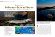 Mehr Meerforellen - Bursellbursell.dk/artikler/saltwater/release-rig-seatrout-spin.pdf · Die Auslöse-Montage 30 FISCH & FANG 11/2012 B praxis meeresfisch 1. Schneiden Sie ein ca
