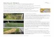 Säume an Wegen - Naturschutzzentrum Coesfeld€¦ · 10 Ratschläge vom Naturschutzzentrum Kreis oesfeld e.V. für die Pflege von Säumen an Wegen Stand: 03.06.2019 (bs/cb)
