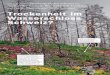 SCH WERPUNKT Auch in der Schweiz. Wie wirkt sich ...13188/datastrea… · WSL-MAGAZIN DIAGO NAL NR.2 2013 Bild: Thomas Wohlgemuth, WSL und 20 bis 35 Prozent des gesamten Wasserverbrauchs