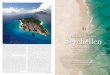Seychellen · 1 VON Magazine 4/2008 VON Magazine 4/2008 1 W er die einzigartige, tropische Schönheit der Seychellen kennt, weiß, dass es kaum etwas Romantischeres gibt, als …
