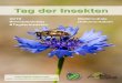 2019 #Insektenlobby Dokumentation - INSECT RESPECT · Katharina Heberer Manufactum GmbH Marie-Joelle Hedrich HK Group Nicole Heißmann stern Ressort Wissenschaft Jan Hellberg Aurelia
