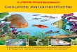 Gesunde Aquarienfische - sera · Epistylis (früher: Hetero polaria) Behandlung Seite 33 Beobachtung Pelzige Beläge nach Schleim haut verletzungen; mit einer starken Lupe sind viele
