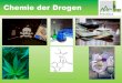 Chemie der Drogen - EduGroup.at · Pharmakodynamik: Kokain ist ein Wiederaufnahmehemmer an Dopamin-, Noradrenalin- und Serotonin-Rezeptoren. Es verhindert den Transport und somit