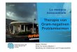 Therapie von Gram-negativen - Labors.at€¦ · Klebsiella pneumoniae mit verminderter Carbapenem Empfindlichkeit in Ö. Von 2009 bis 2013 (Blutkultur) Resistenzbericht Österreich