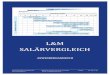 (20-00a DE Handbuch L&M-Salärvergleich V3)€¦ · Zuteilungshilfen (SwissICT, GKS) 4 Datenerfassung und Übermittlung Stärken / Nutzen des L&M - Salärvergleichs AGB 5 Software