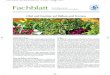 509062 Fachblatt Obst Gemuese Verband.qxp 23.09.2009 …€¦ · Obst und Gemüse lässt sich – für manchen vielleicht über - raschend – auch auf Balkon und Terrasse anbauen