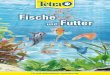 Fische und Futter - HORNBACH€¦ · 2 Die freie Natur bietet Fischen eine reiche Auswahl an Nahrung, die sich aus unter-schiedlichen Bestandteilen zusammensetzt: z.B. Algen, Pflanzen,