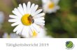Tätigkeitsbericht 2019 - Reckhaus€¦ · videos. (50 Seiten) Insect Respect Kompensation Modell und Flächen zum Ausgleich von Insektenverlusten Insect Respect basiert auf einem