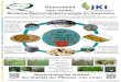 Moderne Mykorrhizatechnologieim Gartenbau€¦ · Symposium zum nicht-chemischen Pflanzenschutz im Gartenbau. 28. und 29. Mai 2019, Berlin Created Date: 10/1/2019 8:29:27 AM 