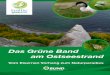 Das Grüne Band am Ostseestrand - BUND e.V. · 2016. 10. 19. · jedem Schulatlas. Dicht gedrängt scharen sich hier die Brutplätze seltener Vögel, während andern-orts gähnende