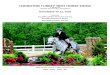 New LEXINGTON TURKEY TROT HORSE 2020. 10. 17.¢  LEXINGTON TURKEY TROT HORSE SHOW To Bene¯¬¾ t the Virginia