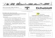 Eicheblatt Nr. 478 - Marthalen...Interview mit Peter de Haan, Physiker, ETH-Dozent für Mobilität und Klimaschutz: Wegen der höheren Effizienz wird der Energieverbrauch als Ganzes