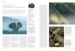 ews 3/07 Kultur - NaturFoto - Magazin · pus Master Software nutzbare Pa - norama-Funktion mit auf den Weg, die (wie bei der E-30) das Vorhan - densein einer schnarchlangsamen original