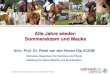 Alle Jahre wieder: Sommerekzem und Mauke · Univ. Prof. Dr. René van den Hoven Dip ECEIM Klinisches Department für Kleintiere und Pferde Abteilung für Interne Medizin und Seuchenlehre