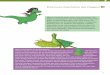 Eine kurze Geschichte des Fliegens - EVOKIDS · 2016. 3. 21. · 75 Hallo, mein Name ist Archaeopteryx. Manche meinen, ich war der erste Vogel. Gelebt habe ich vor 150 Millionen Jahren
