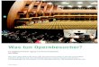 Was tun Opernbesucher? · 2019. 10. 24. · Beitrag als PDF-Datei Arbeitsblätter Was tun Opernbesucher? – S. 49-51 Leitfaden-Interview – S. 52 Professor Pianos Psycho-Test –