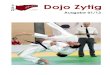 Dojo Zytig 1301 · PDF file 2013. 11. 17. · Dojo Zytig Seite 4 Am 09. und 10.03.2013 traf sich die Elite des Schweizer Ju-Jitsu in Neftenbach zu den Schweizermeisterschaften. Erstmals