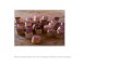 Bankettweine Schloss Münchenwiler · Majas Blanc VdP Côtes Catalanes 2016 75cl 43.00 Domaine de Majas, Calce, Pyrénées Orientales Rolle, Macabeu, Carignan Blanc Fleur de Cailloux