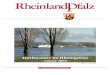 Hochwasser im Rheingebietüberall als Schnee fielen und dann in den Niederungen zunehmend in Regen übergingen. Die gemessenen Tagessummen lagen dabei meist unter 10 mm. Unter dem