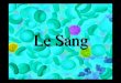 Le sang Dr Joye - CH Carcassonne...(IgA, IgG, IgM, IgD, IgE) Plasmocyte Neutralisation d’antigènes (+) (+) (-) (-) Rôles des lymphocytes RÉSUMÉ DES ÉLÉMENTS FIGURÉS DU SANG