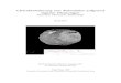 Charakterisierung von Asteroiden aufgrund eigener Messungen · 2020. 4. 19. · Charakterisierung von Asteroiden aufgrund eigener Messungen Astrometrie, Photometrie, Spektroskopie
