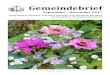Gemeindebrief - Domhavelberg-dom.de/.../09/2017-09-11-Gemeindebrief-online.pdf · 2017. 9. 3. · Gemeindebrief September – November 2017 ... Brot des Lebens, Johannes 6, 2017 Liebe
