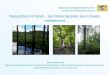 Naturschutz im Wald die Förderoptionen des Umwelt ... · 125 – 195 €/Baum, abhängig von BHD und Baumart bei Biotopbäumen 90 €/Baum bei Totholz (BHD bzw. Ø mind. 40 cm) Biotopbaum