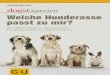 Experten - b£¼cher.de ... Siberian Husky | 152 Rottweiler | 154 Berner Sennenhund | 156 Bernhardiner