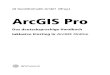 ArcGIS Pro : das deutschsprachige Handbuch : inklusive ...Inhaltsverzeichnis 4.10.4.3 Fangumgebung 167 4.10.5 Erfassen vonPunkt-, Linien-undPolygon-Features 168 4.10.6 ÄndernbestehenderFeatures