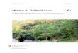 Modul 3: Götterbaum · Modul 3: Götterbaum Ein Modul der Vollzugshilfe Waldschutz Rechtsgrundlage Waldverordnung (WaV), Freisetzungsverordnung (FrSV) Impressum Rechtliche Bedeutung
