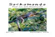 Sachamanda - Selva viva€¦ · Gegründet und geleitet von Christine von Steiger ermöglicht sie Kindern und Jugendlichen eine optimale Ausbildung. • Ökotourismusprojekt Runa
