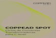 Ebook COPPEADSPOT Coppead v01...COPPEAD SPOT são ciclos de discussões sobre temas que estão na pauta das organizações voltadas para o futuro. Um grupo seleto de executivos C-level