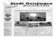 Stadt Geislingen Sonnen- · 2018. 10. 10. · 4 Amtsblatt der Stadt Geislingen 15. Juli 2011, Nummer 28 Der Gesangverein „Eintracht“ Geislingen 1865 e.V. lädt recht herzlich