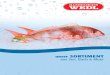 unser sortiment aus See, Bach & Meer · 2018. 5. 28. · Fisch Filets Süßwasserfisch-Filets Zu den beliebtesten Süßwasser-Speisefischen zählen Hecht, Forelle, Wels und Karpfen