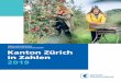 Kanton Zürich in Zahlen 2019 · 2020. 8. 17. · 16 Gemeinsam in die Zukunft 18 Gleicher Weg, unterschiedliche Reisezeit 20 Ab der Lebensmitte wächst das finanzielle Polster 22