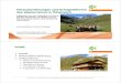 Herausforderungen und Erfolgsfaktoren des Alptourismus in ... · Andreas Muhar │ Herausforderungen und Erfolgsfaktoren des Alptourismus in Österreich │ WSL-Tagung Scuol 2010