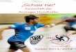 „Schau nei“ - handball-anzing.deSaison 2013/2014 begrüßen. Rechtzeitig zum Saisonstart gibt dieses Jahres-heft einen Überblick über Mannschaften, Termine und sonstige Aktivitäten