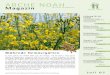 ARCHE NOAH · ARCHE NOAH Magazin Zeitschrift für Mitglieder Gesellschaft für die Erhaltung der Kulturpflanzenvielfalt & ihre Entwicklung J u l i 0 7 Blühende Gemüsegärten In