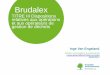 Brudalex...2017/03/30  · * Conditions relatives aux compétences, fiabilité, KBS repris dans le PE 2. Différents acteurs concernés Brudalex Plan de la présentation 1. Acteurs