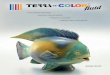 TerraColor fluid 2016 - AFTaft-keramikbedarf.at/data/files/Terracolor_fluid 2016_Web.pdfund sehr ergiebig. Sie sind bleifrei und kennzeichnungs-frei (mit Ausnahme von sie-ben eindeutig