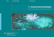 Feuerwerkskörper - Umweltauswirkungen und Sicherheitsaspekte · 2017. 8. 1. · Analytische Chemie), Hanna Herich, Christoph Hüglin (EMPA, Luftfremdstoffe und Umwelttechnik), Claude